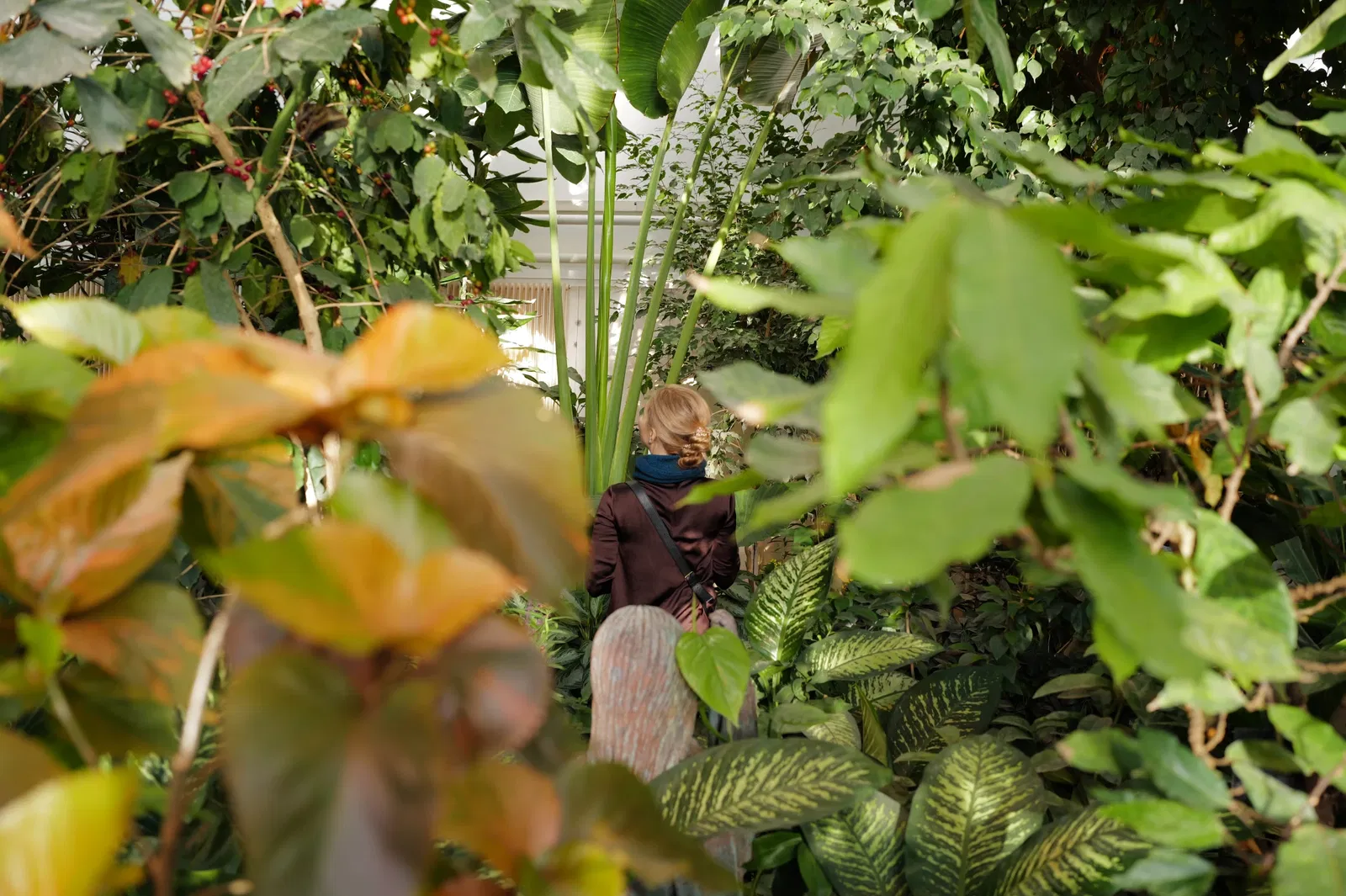 Schmetterlinghaus Hofburg