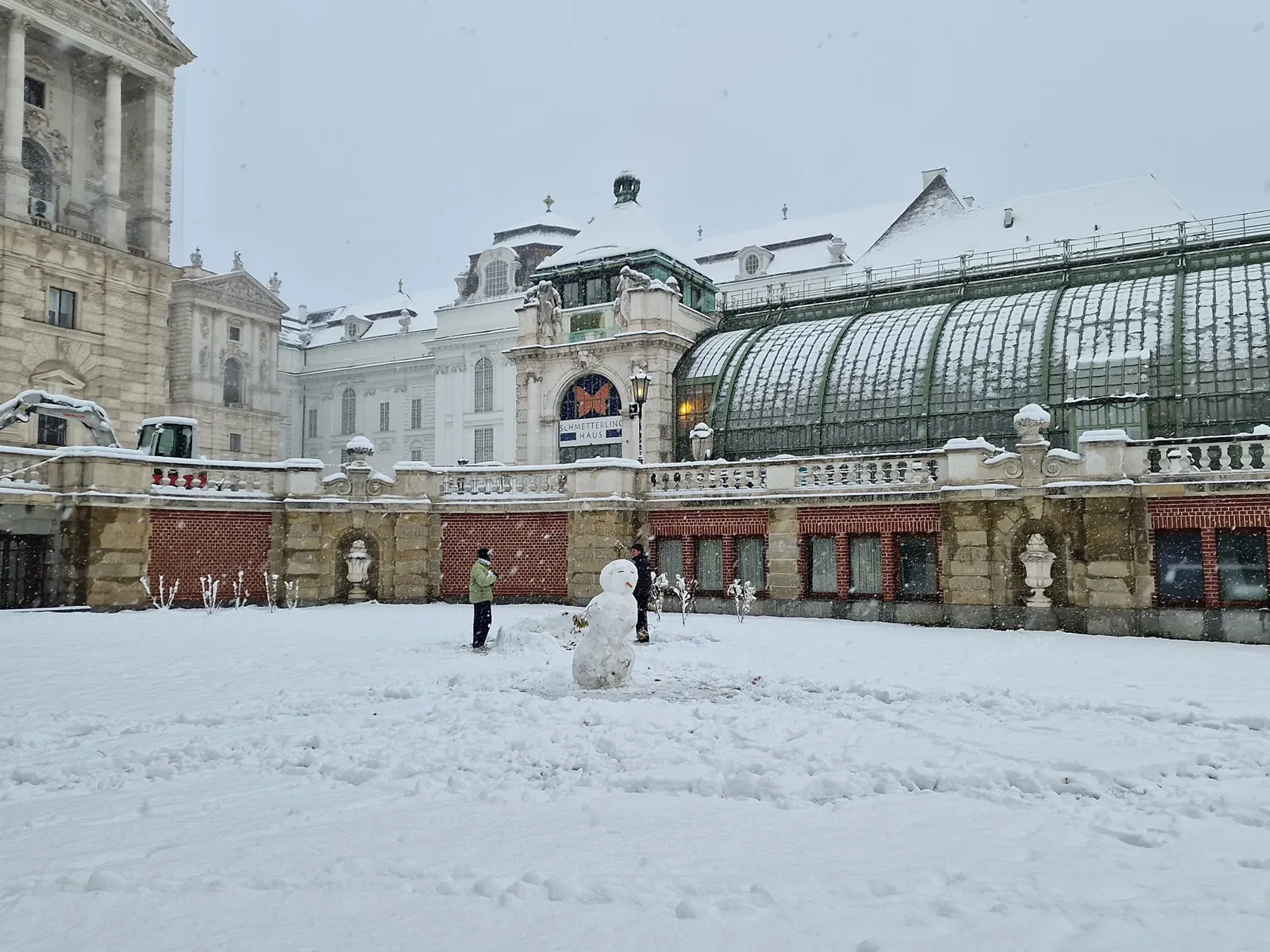 Butterflyhouse Hofburg Palace