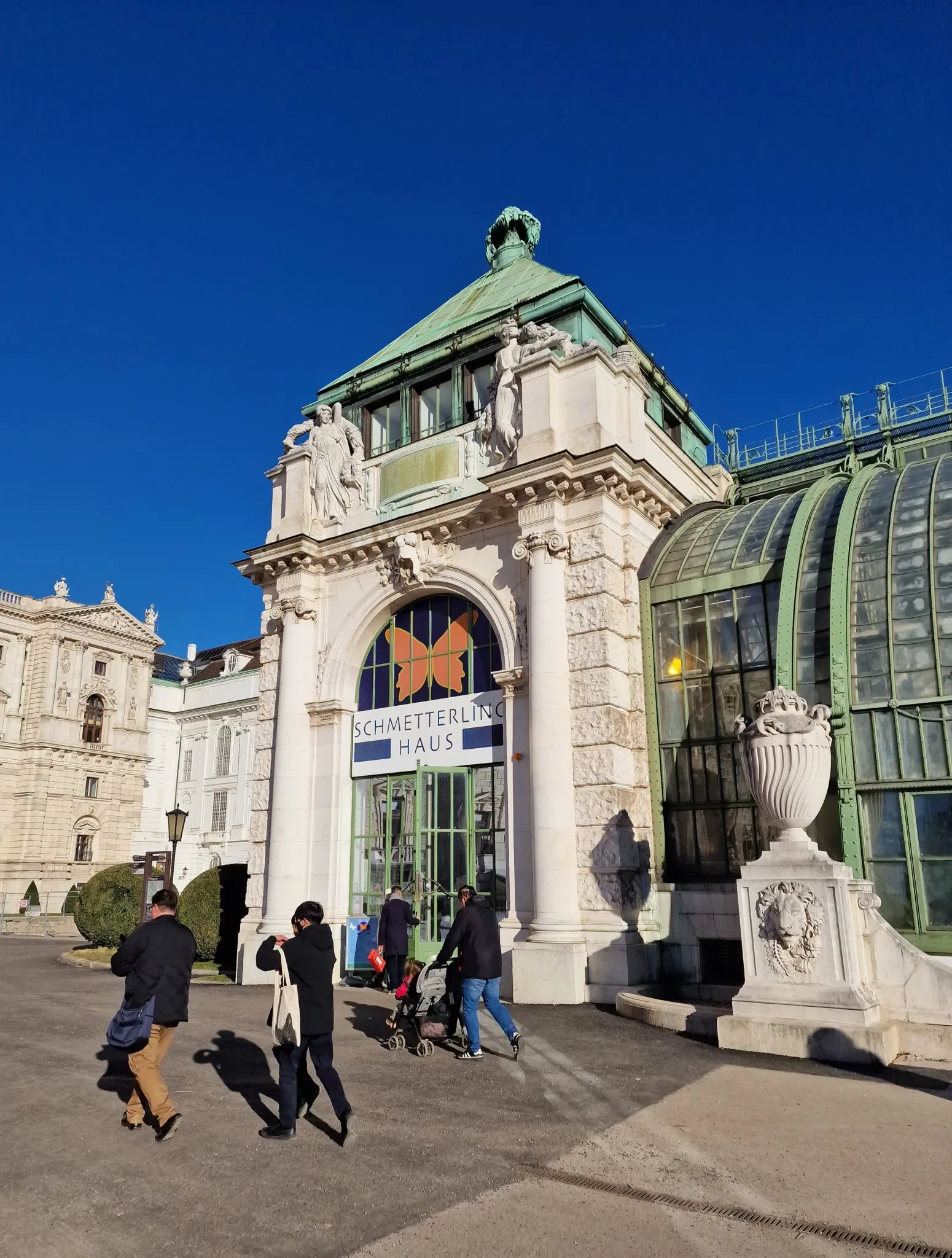 Butterflyhouse Hofburg Palace