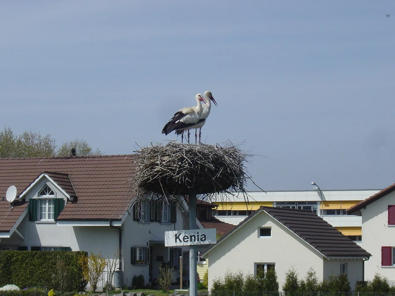 Stork Station Möhlin