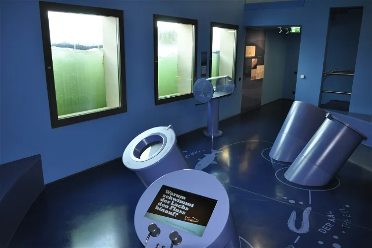 Mosellum - Erlebniswelt - Fischpass Koblenz - Mosellum