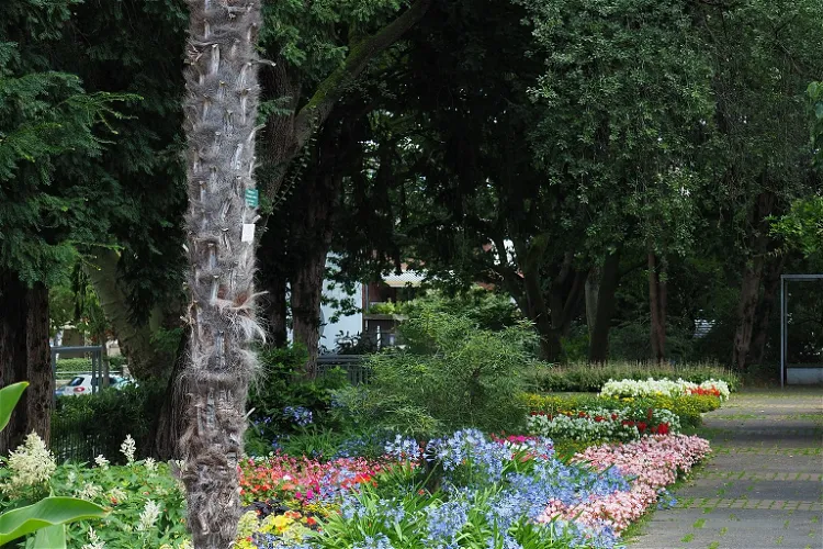 Botanischen Garten Neuss