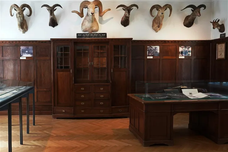 Büchsenmacher- und Jagdmuseum