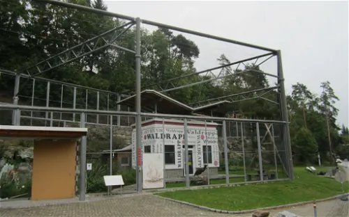 Waldrapp-Voliere