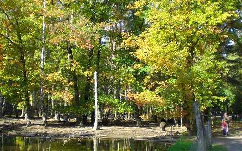 Wildpark Alte Fasanerie