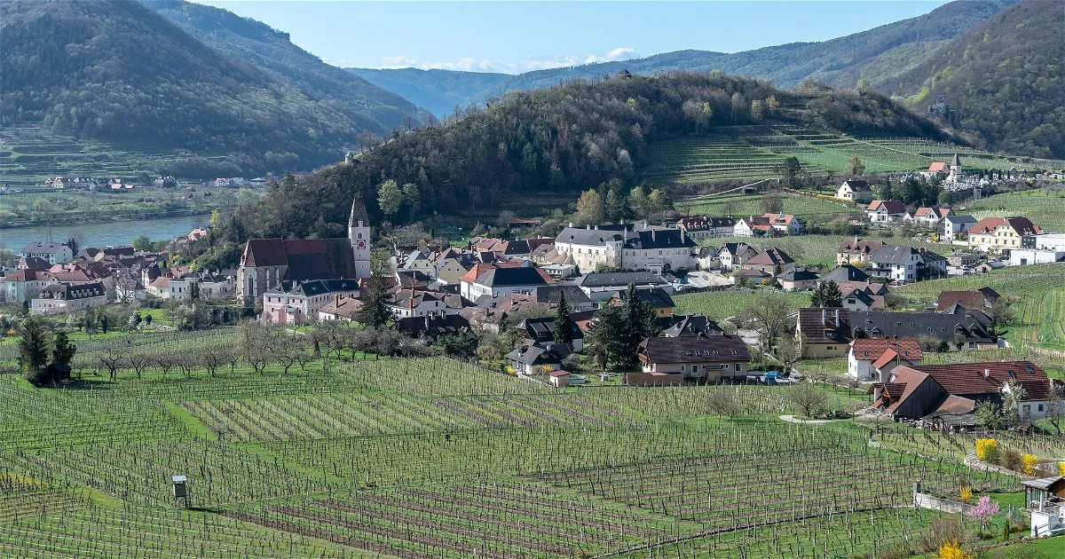 Spitz Rusternburg Spitz: Discover all 8+ Museums, Exhibitions & Discounts