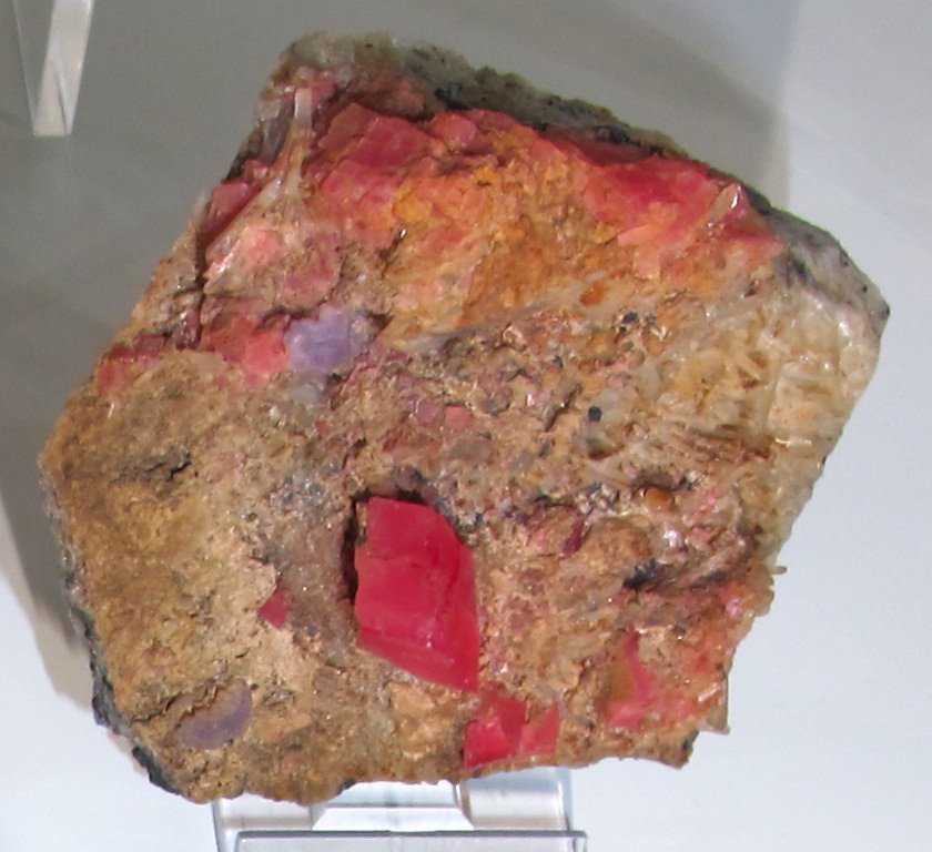 University of Florence Natural History Museum - Geology and Paleontology