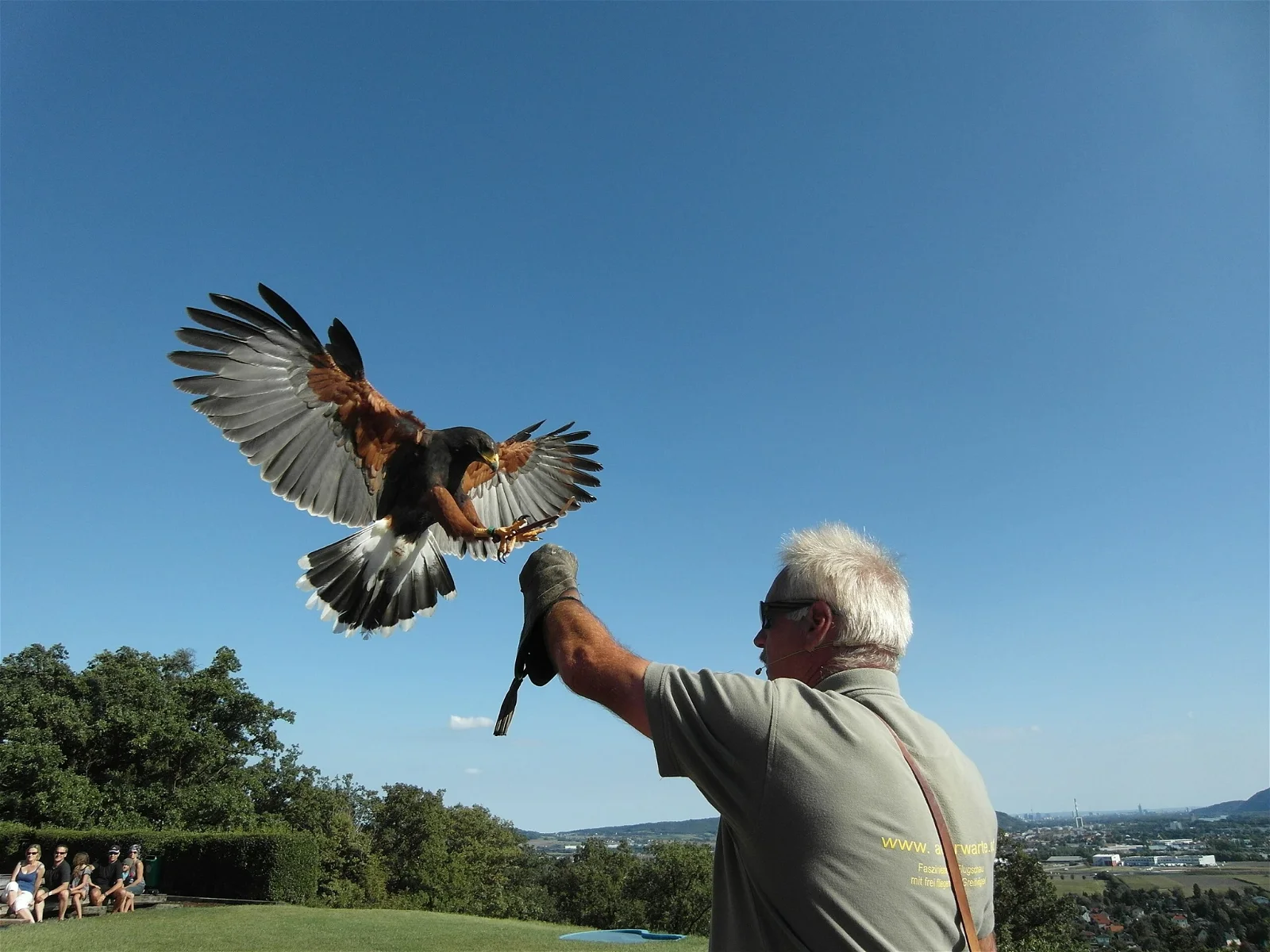 Adlerwarte Kreuzenstein