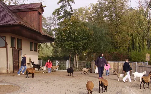 Streichelzoo Tripsdrill