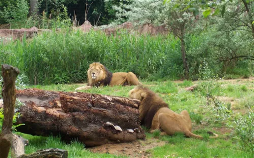 ZOOM Erlebniswelt Gelsenkirchen