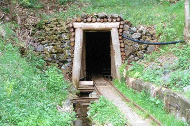 Roter Bär Pit