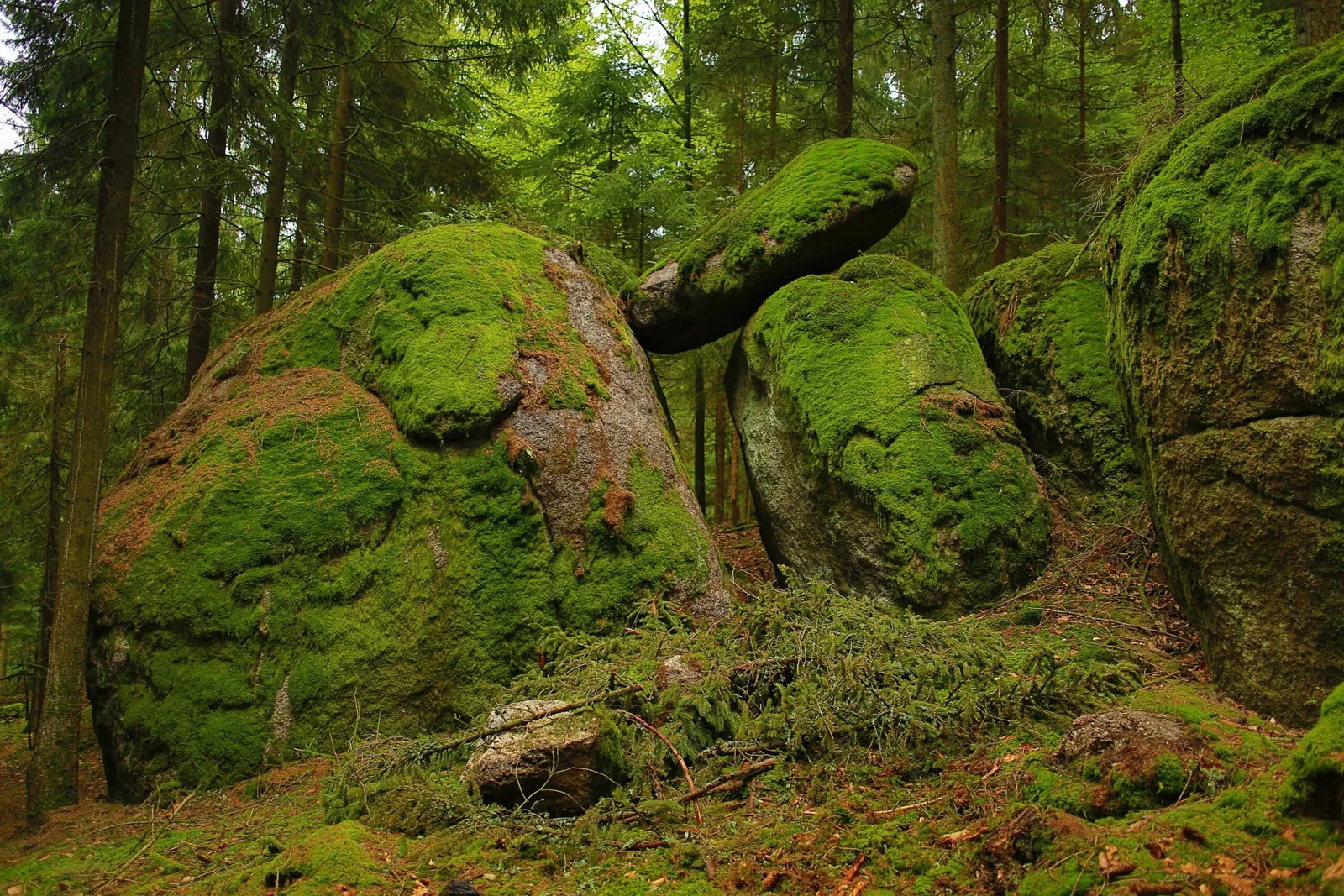 Falkenstein Nature Park
