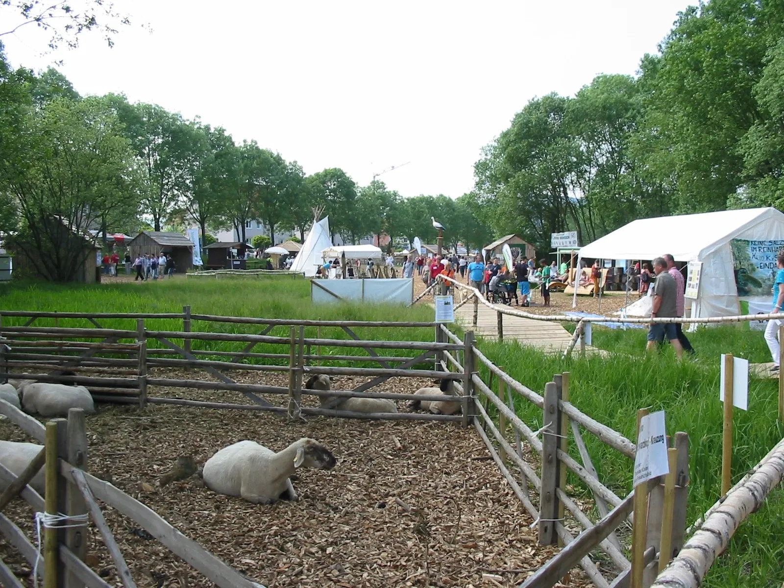 Der Natur auf der Spur