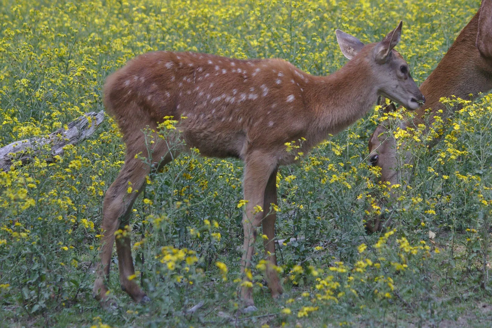 Naturpark Purkersdorf