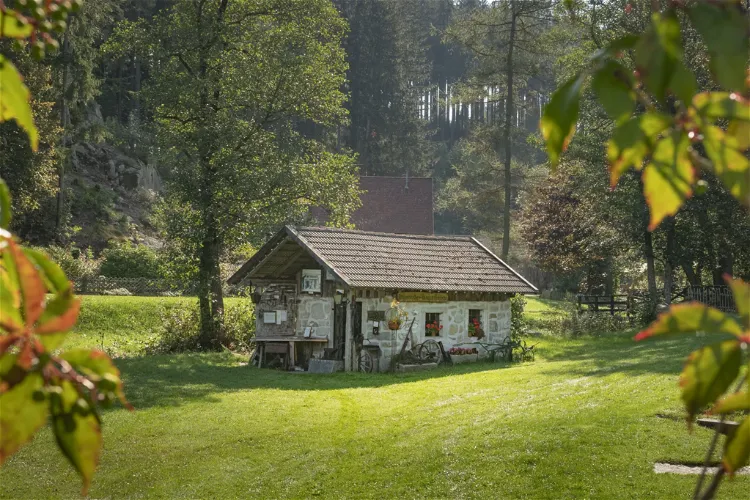 Mühlenmuseum Reichenthal