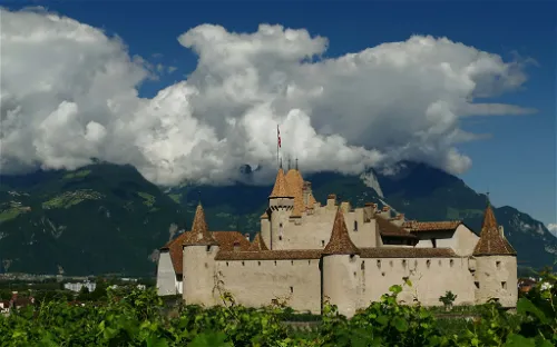 Musée de la Vigne et du Vin