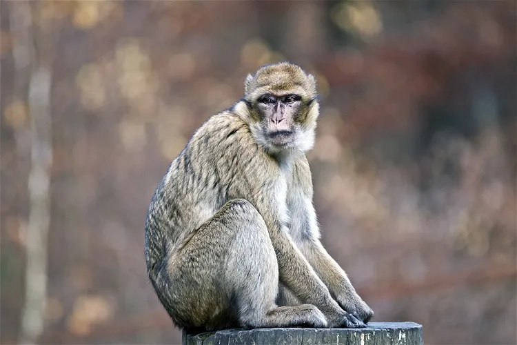 Tierpark Gera