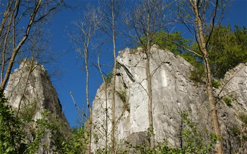 Wildpark Bilsteintal