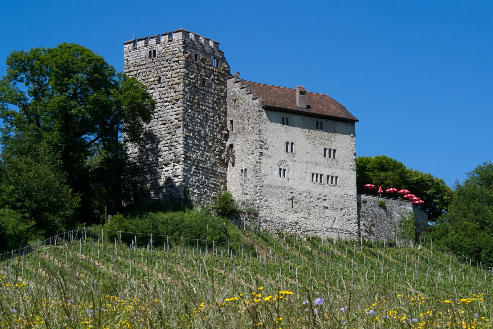 Habsburg Castle