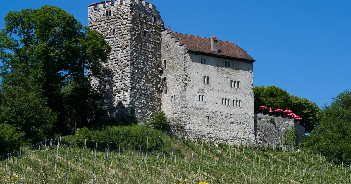 Habs Rug Habsburg Castle (Habsburg) - Visitor Information & Reviews