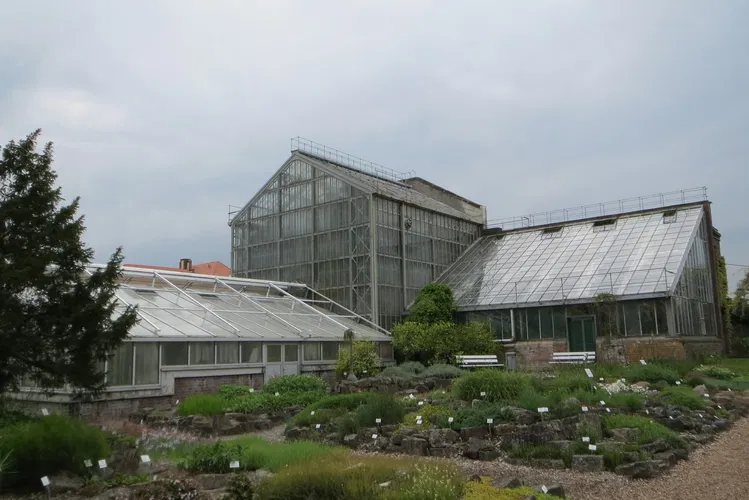 Greifswald Botanic Garden and Arboretum
