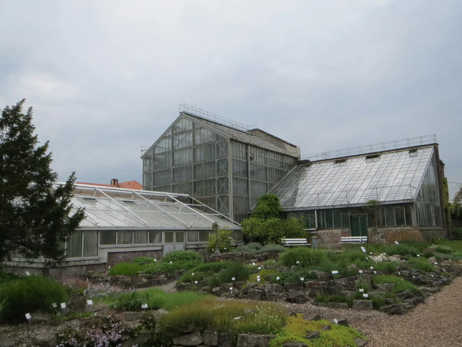 Orto botanico di Greifswald