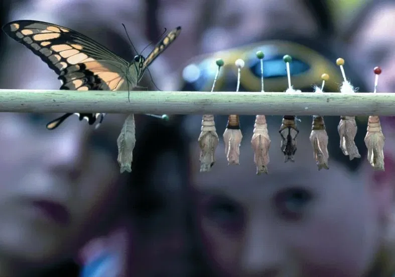 Mariposario Tropical