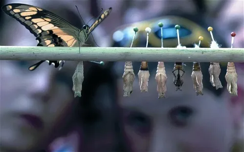 Mariposario Tropical