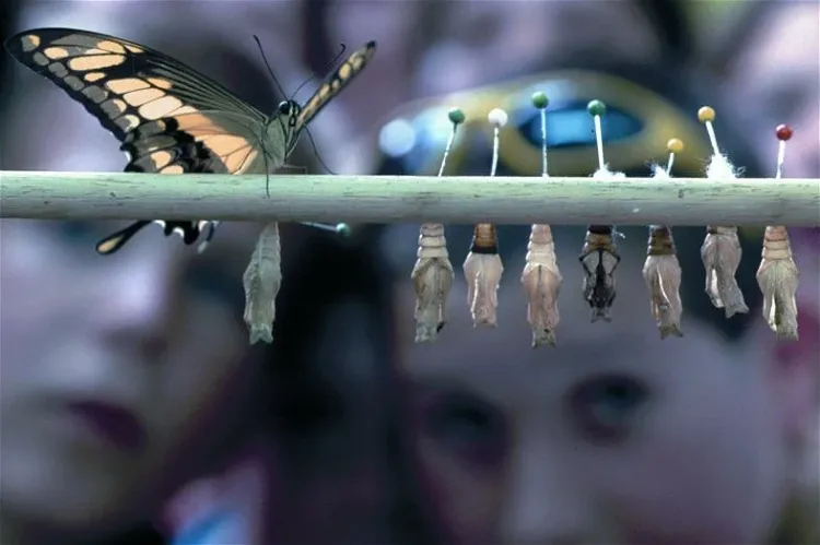 Mariposario Tropical