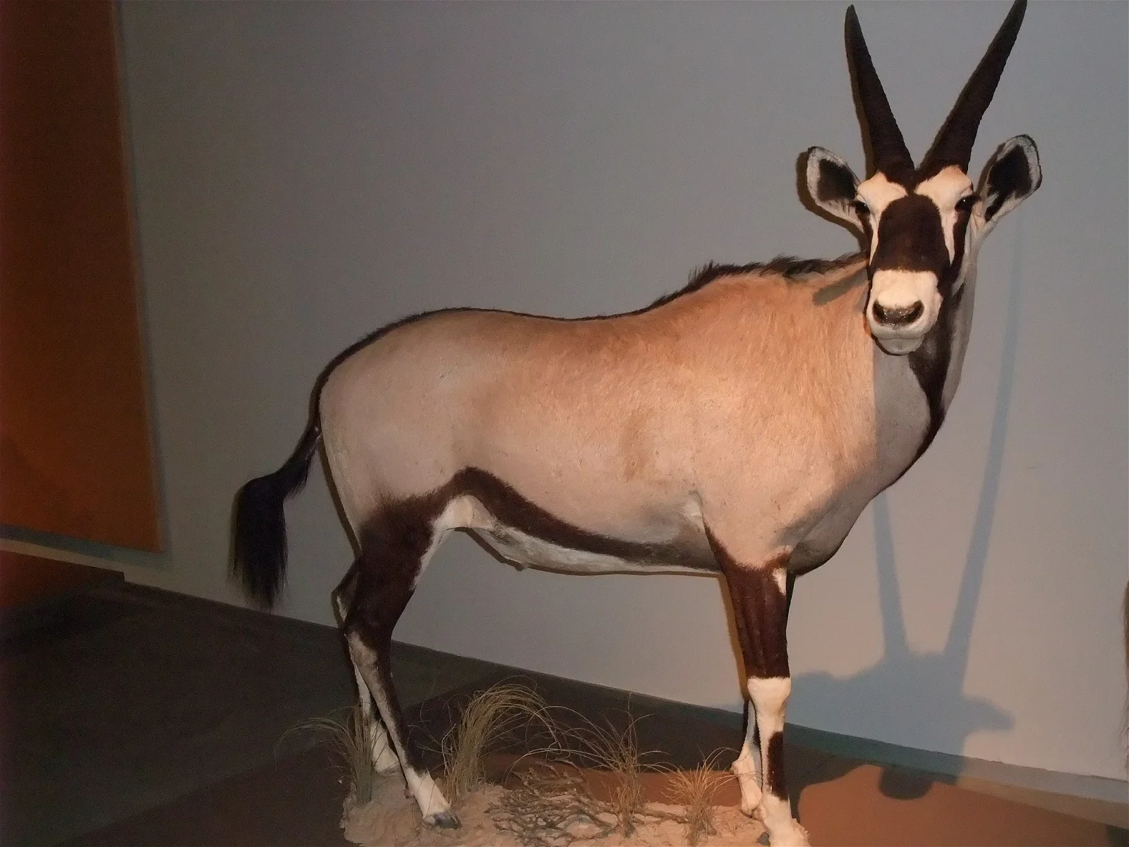 Science Park Granada