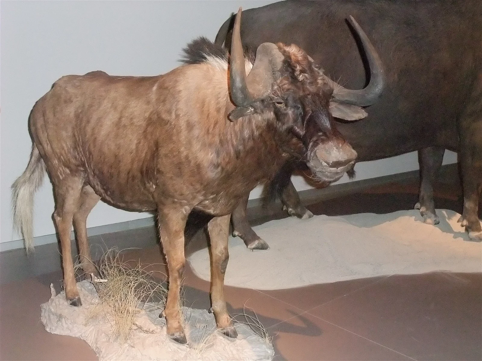 Science Park Granada