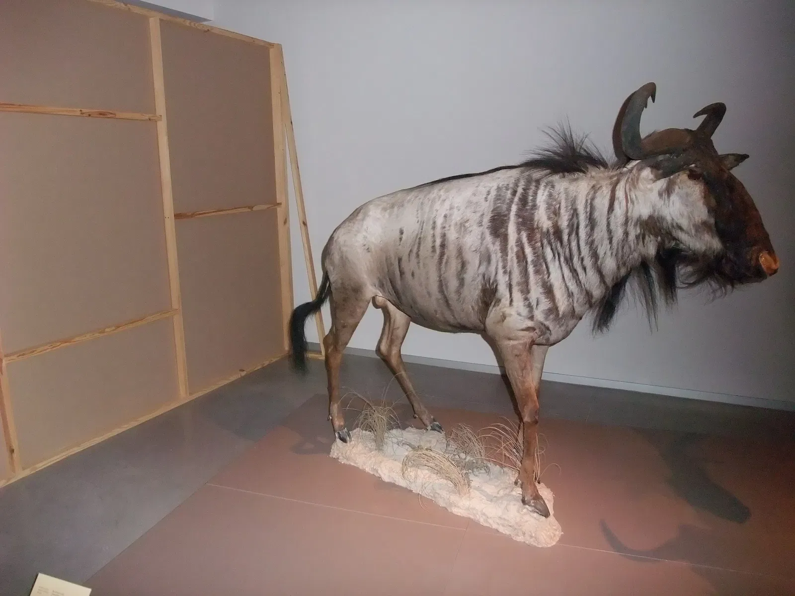 Parc des Sciences (Grenade)