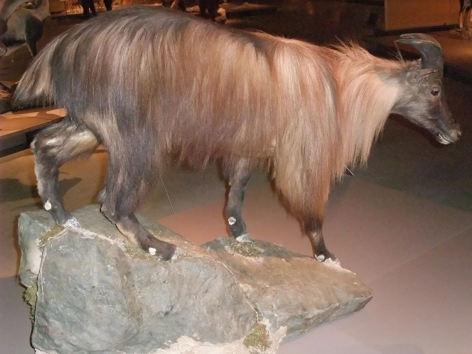 Parque de las Ciencias