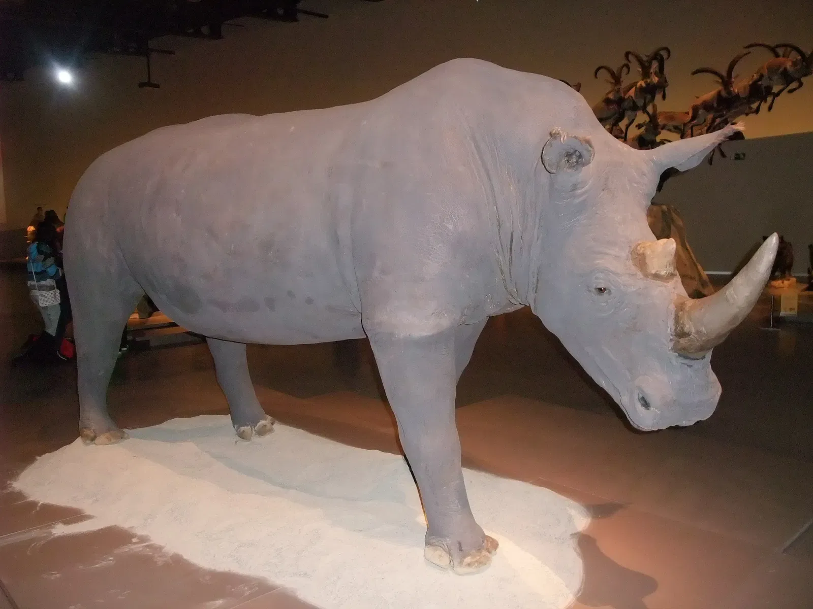 Parc des Sciences (Grenade)