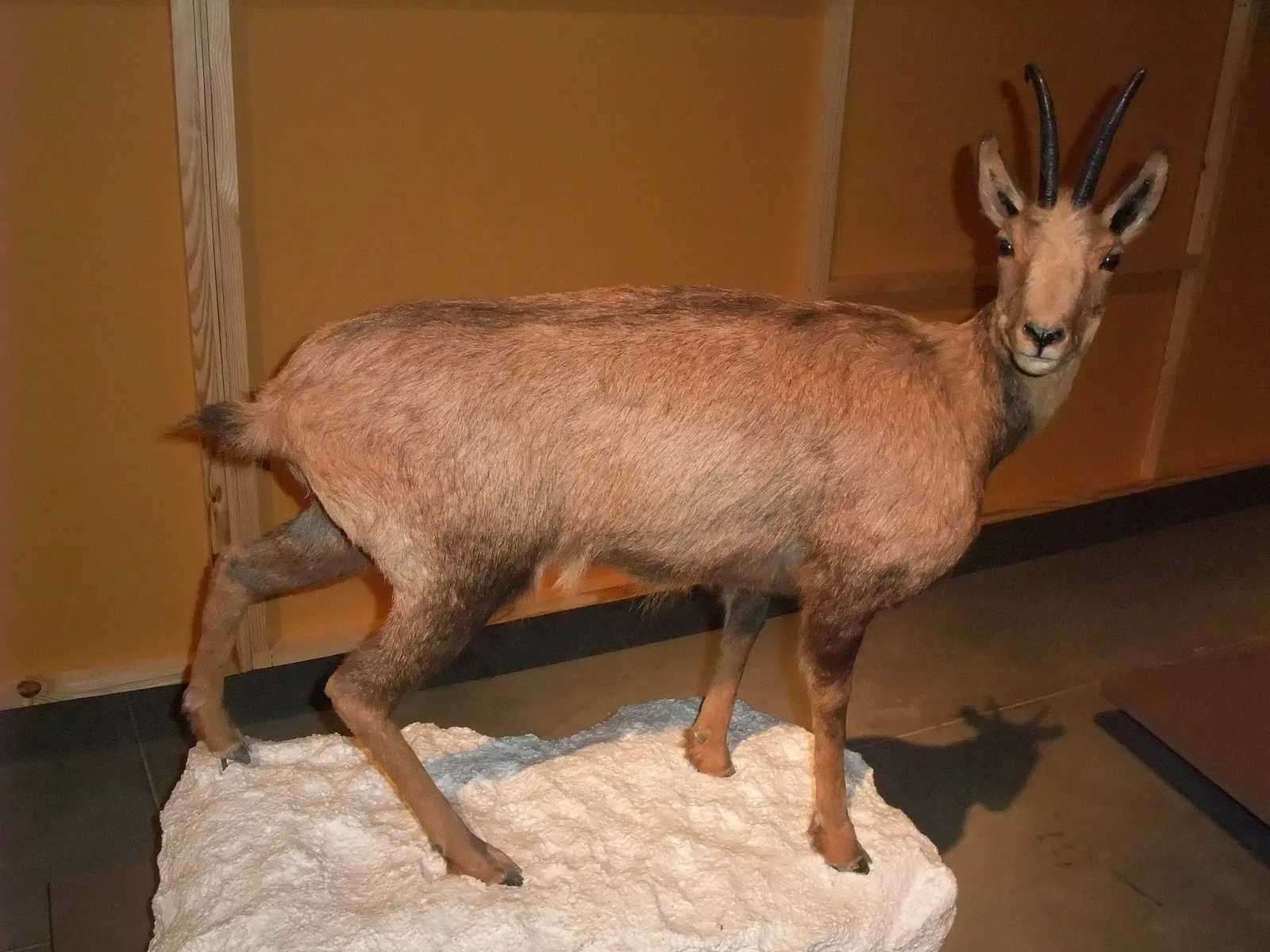 Parque de las Ciencias