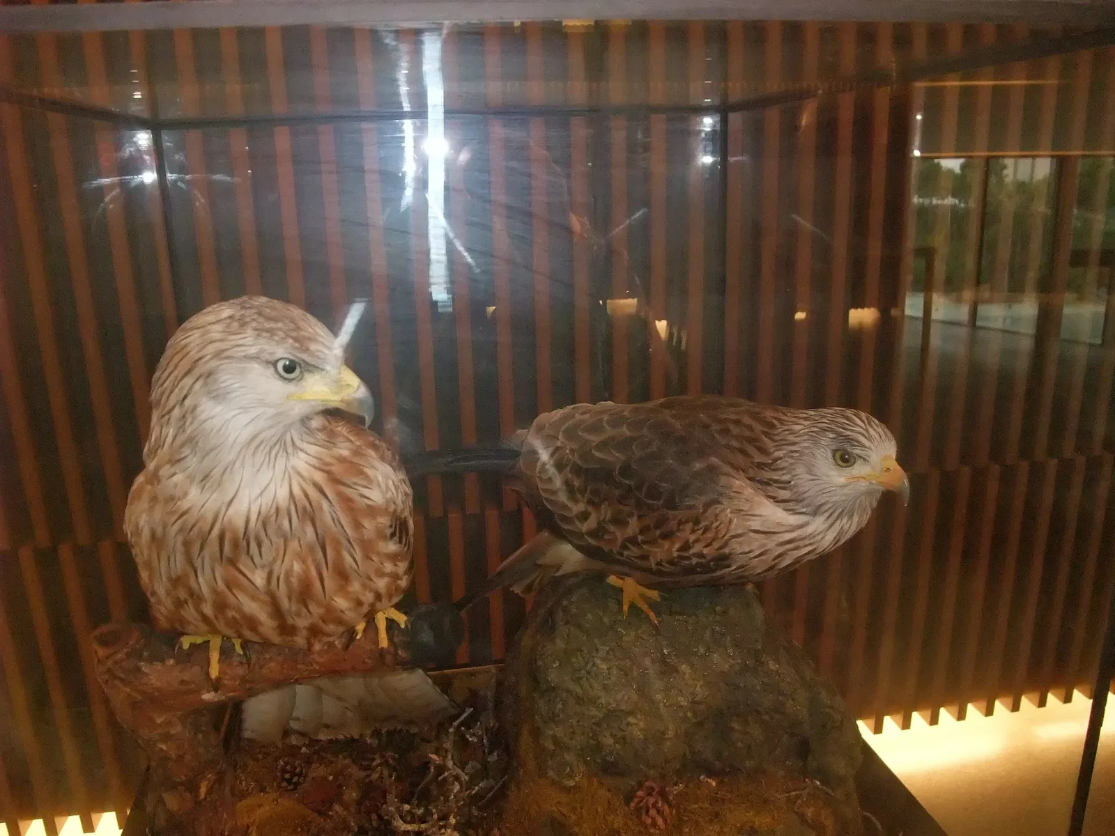 Parc des Sciences (Grenade)