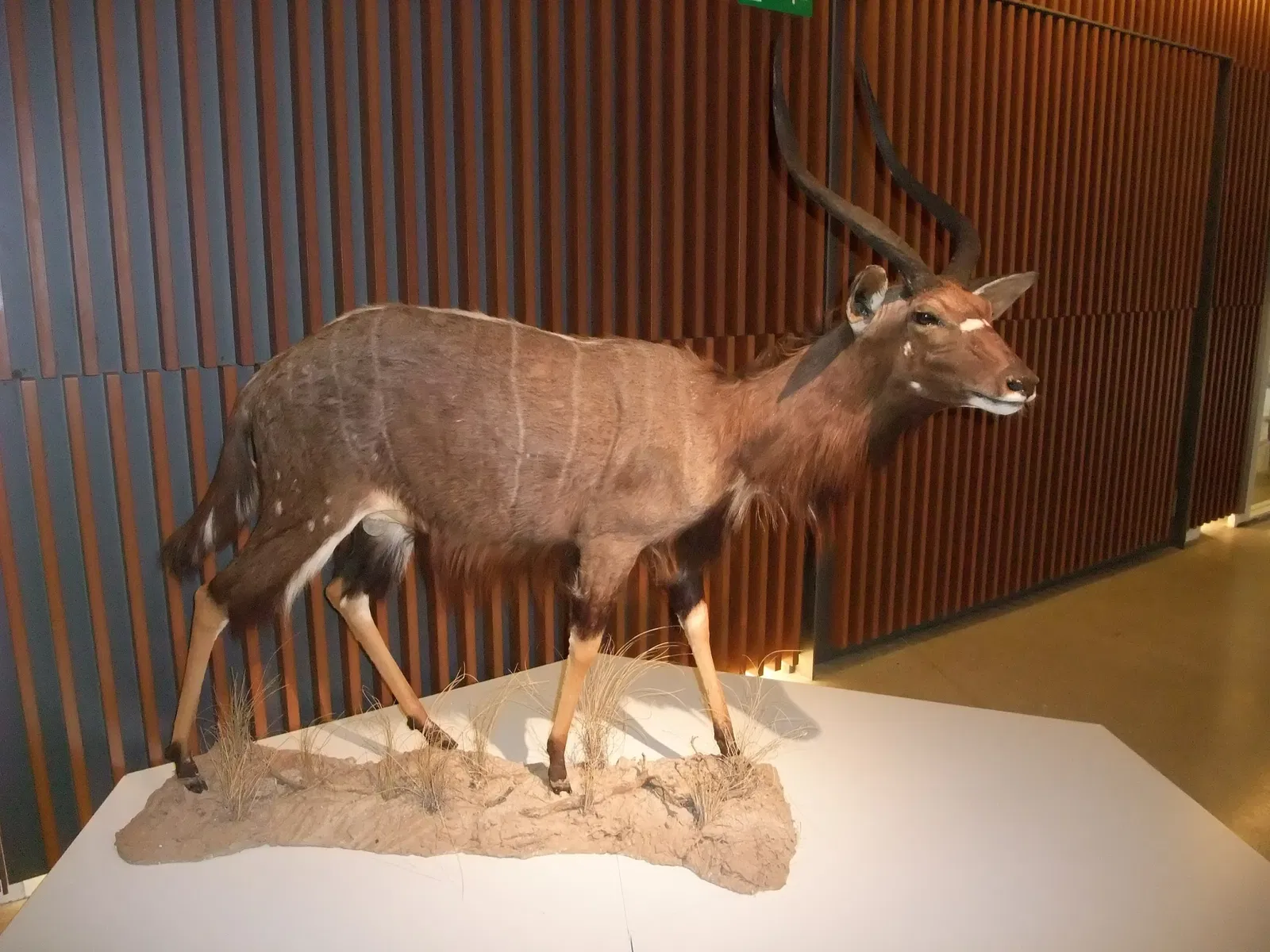 Parque de las Ciencias