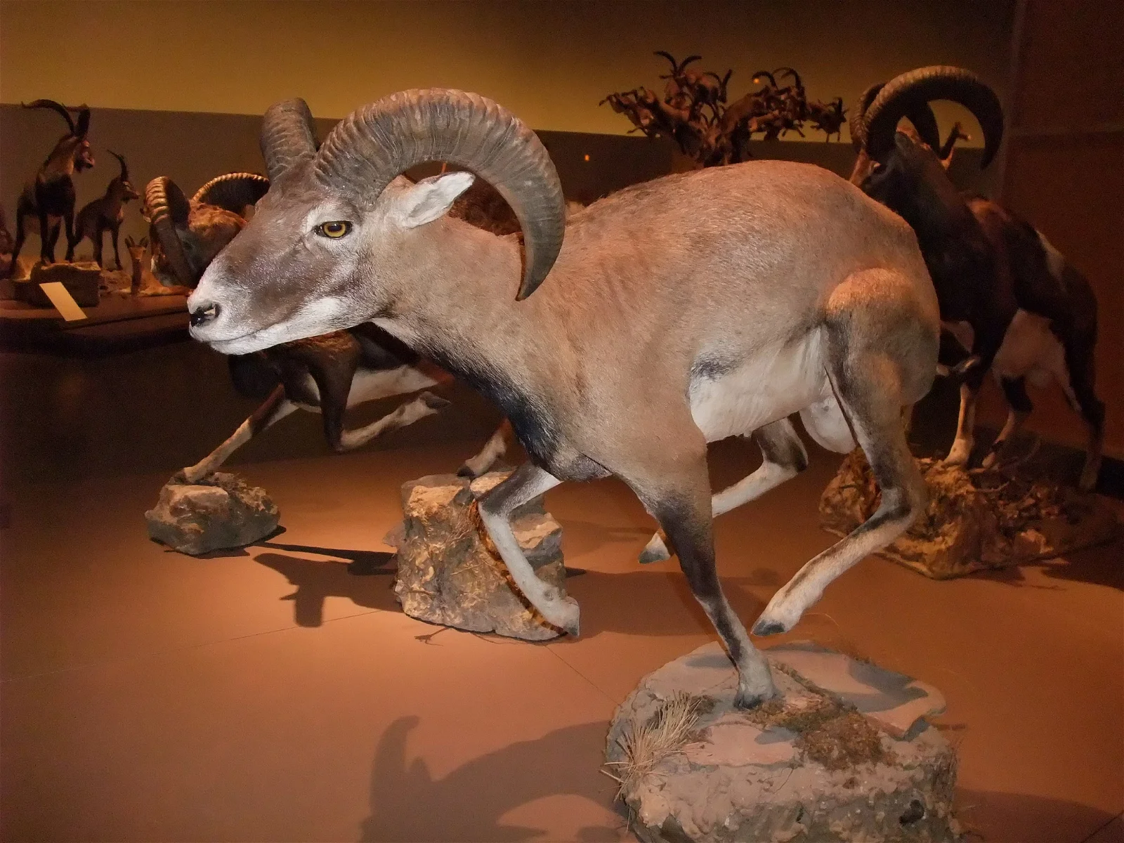 Science Park Granada