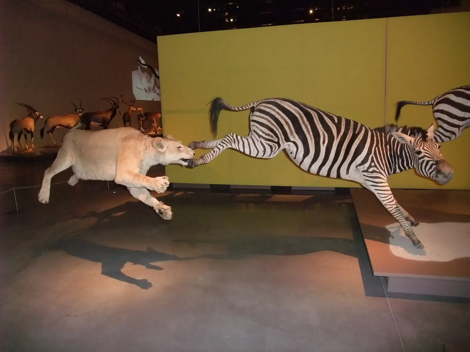 Parque de las Ciencias