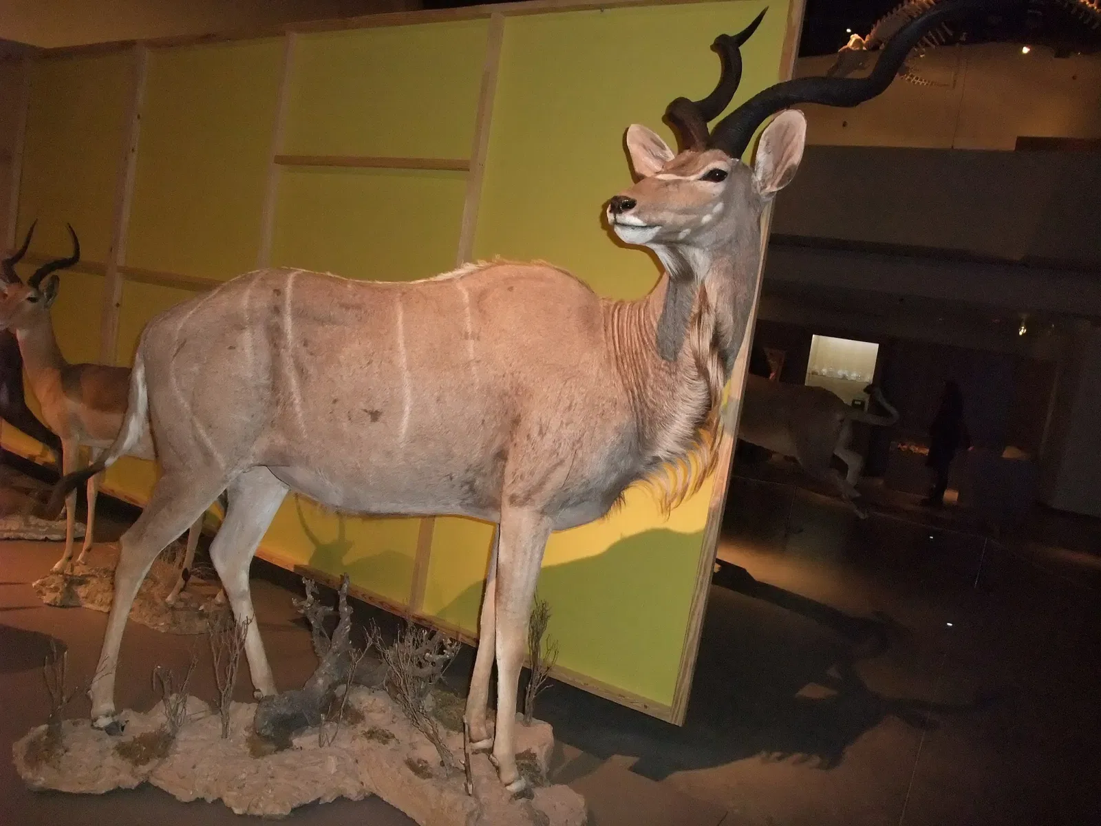 Parc des Sciences (Grenade)