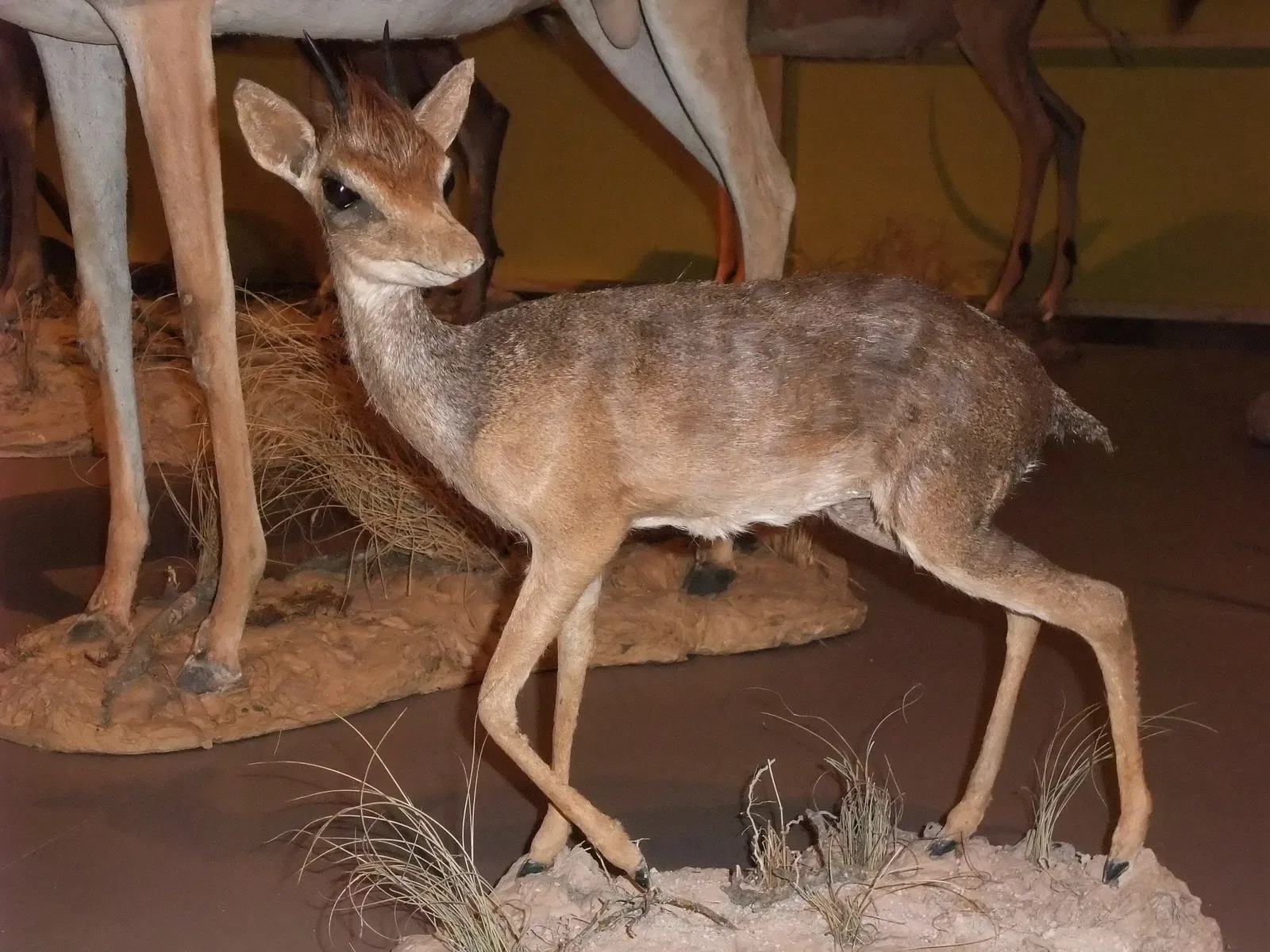 Parque de las Ciencias