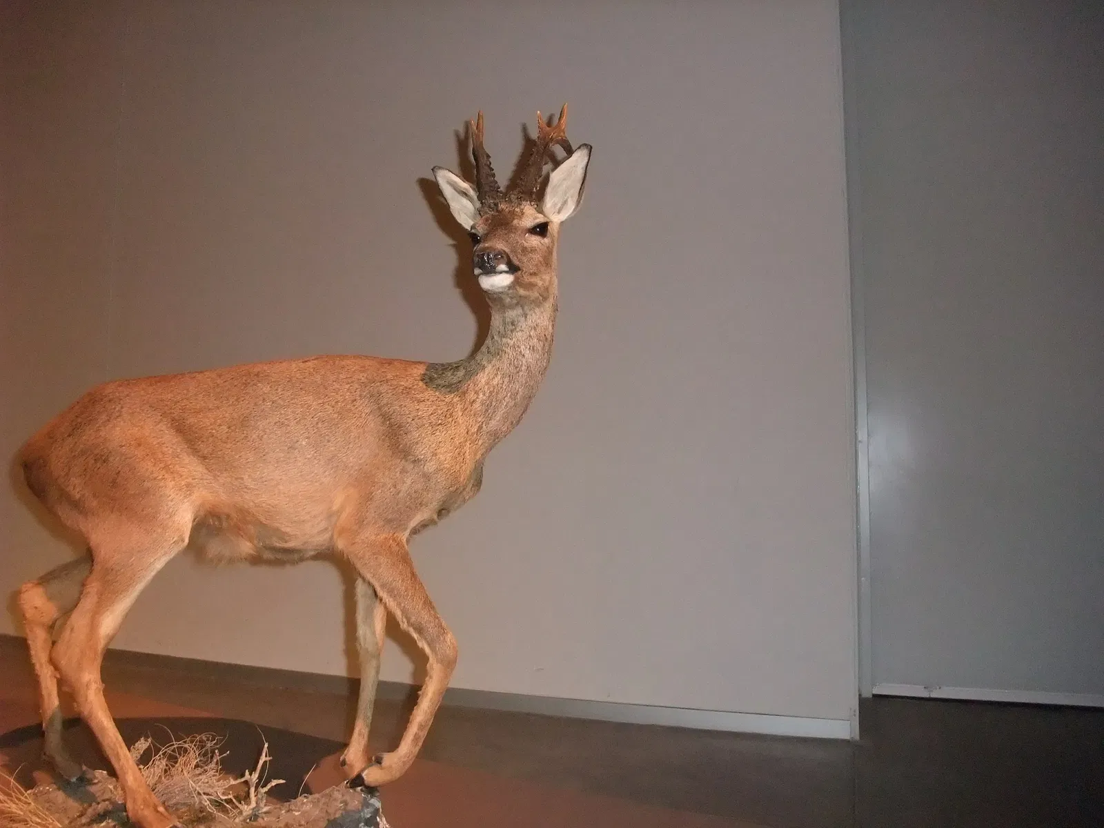 Parque de las Ciencias