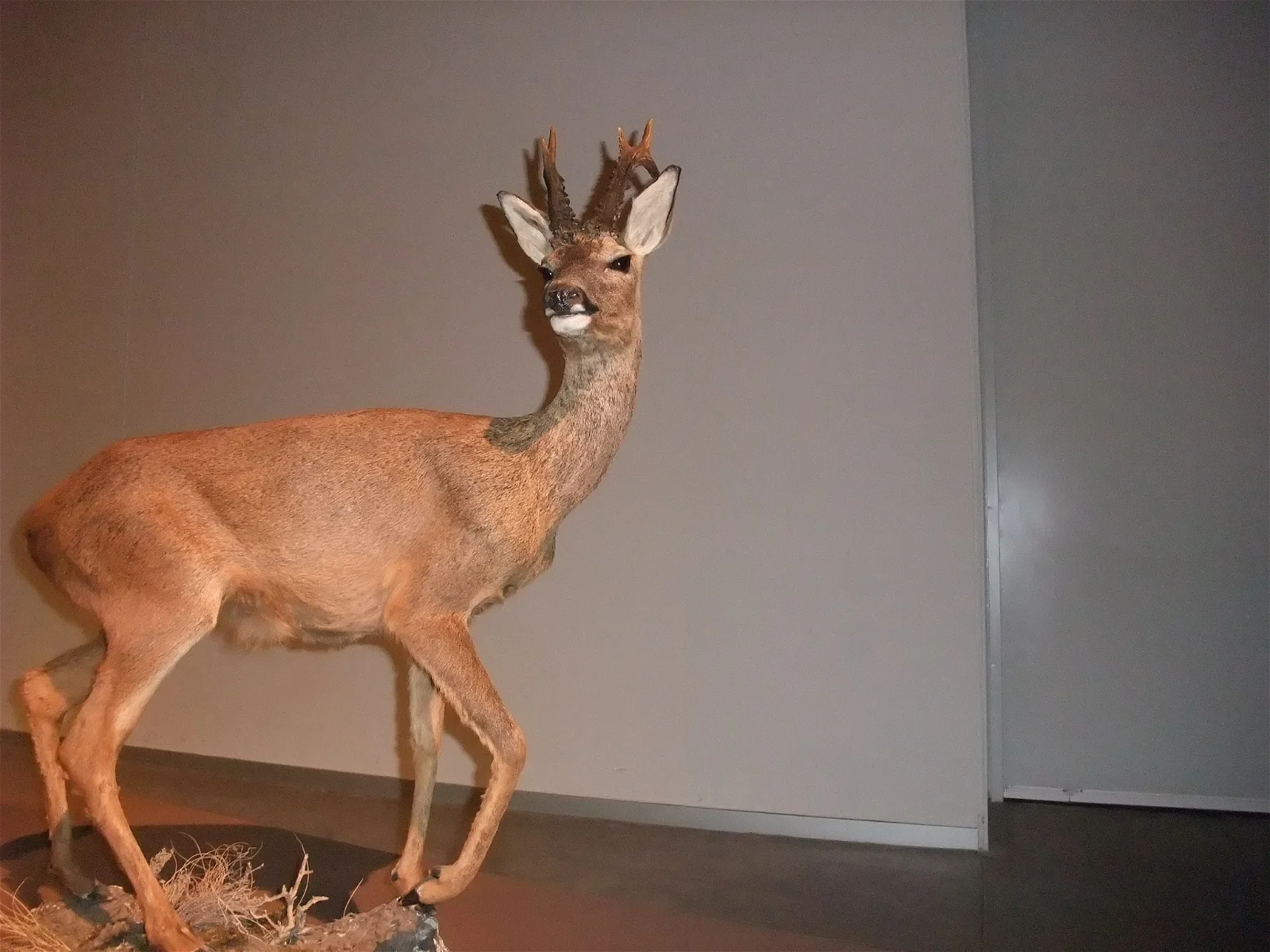 Science Park Granada