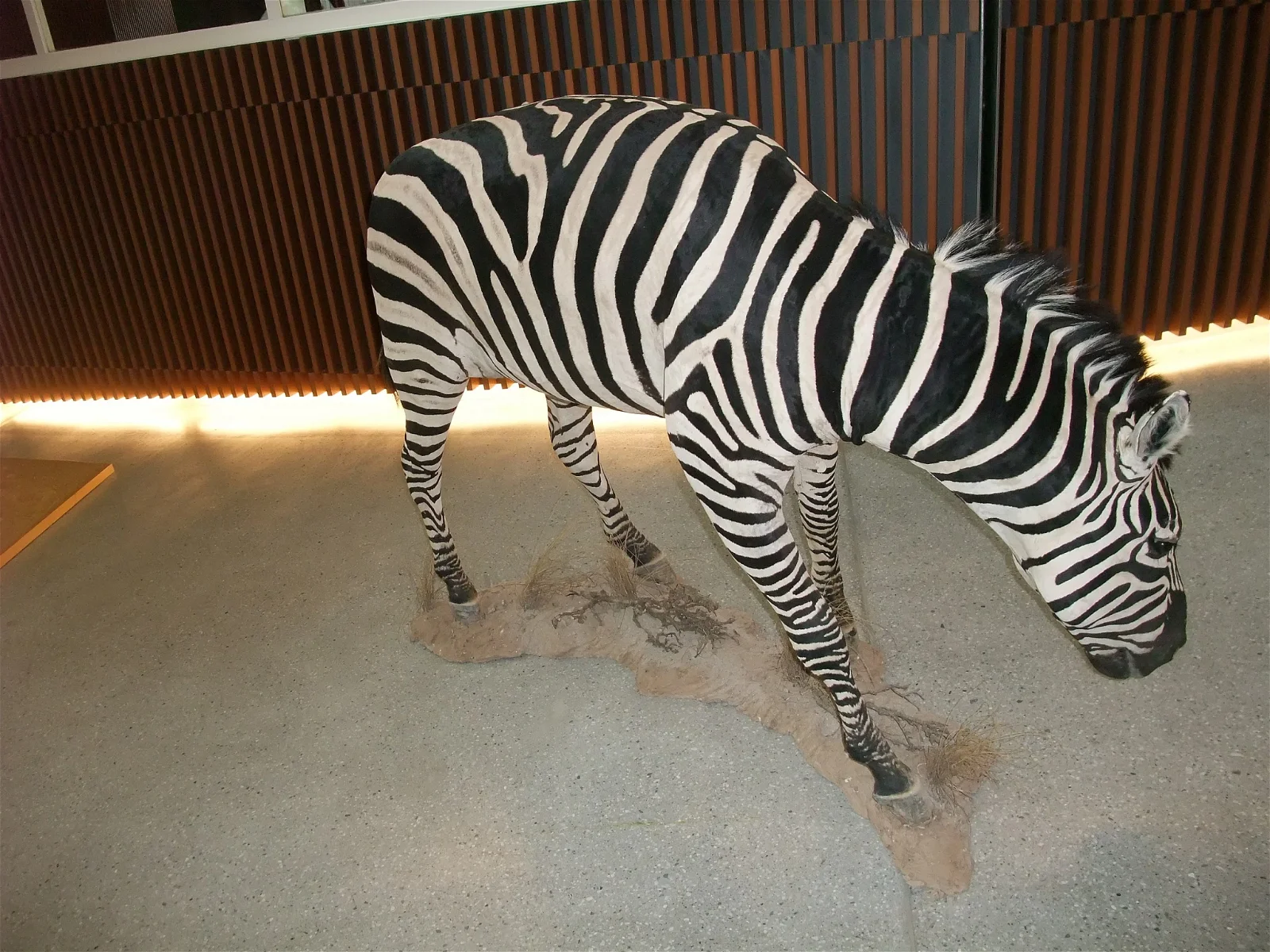 Science Park Granada