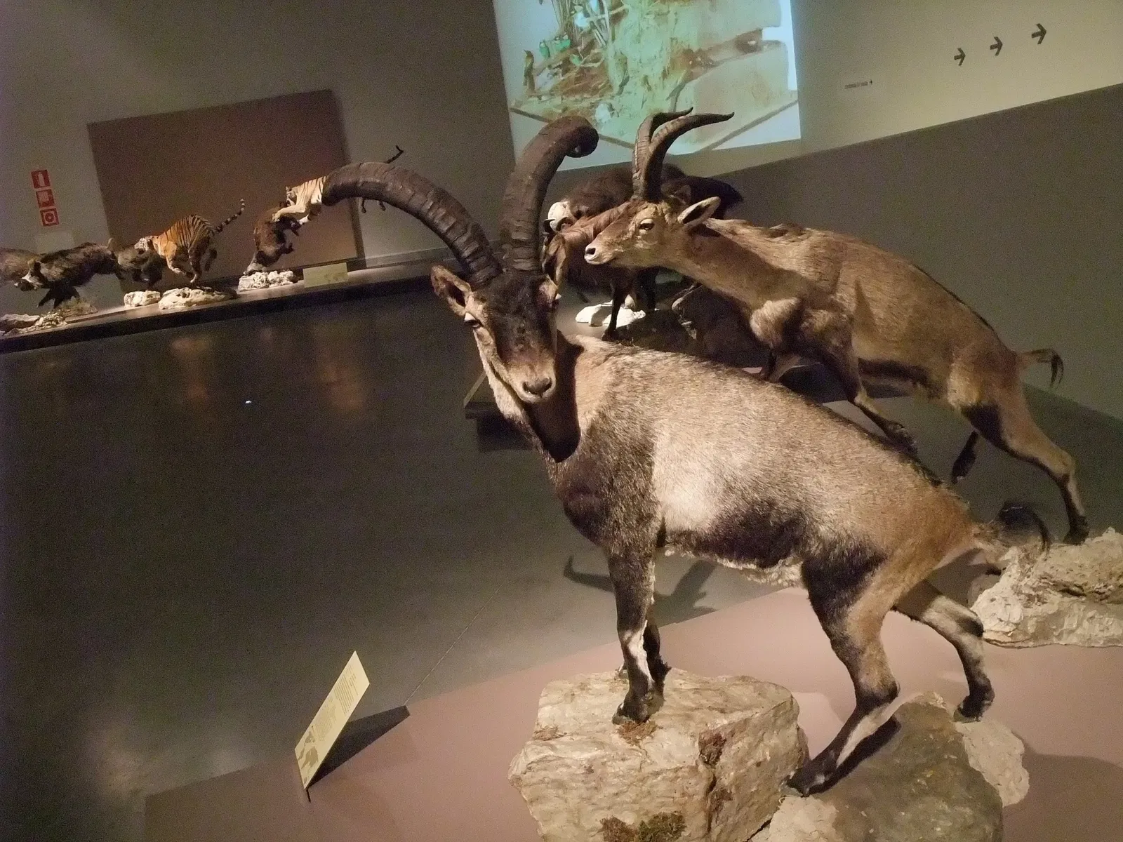 Parc des Sciences (Grenade)