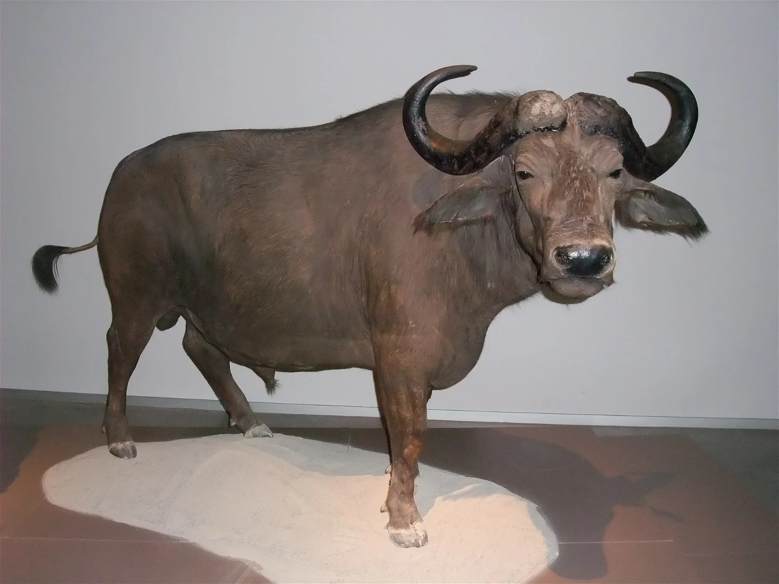 Science Park Granada