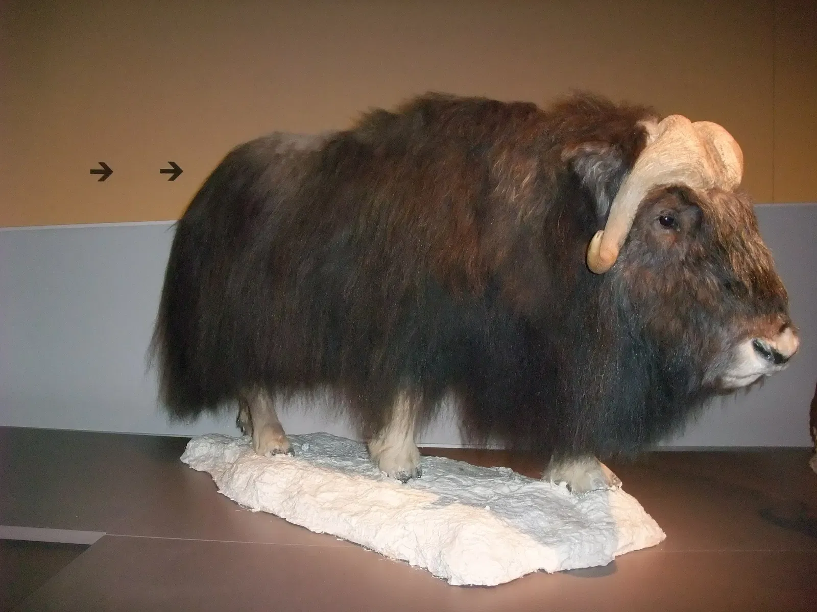 Parque de las Ciencias