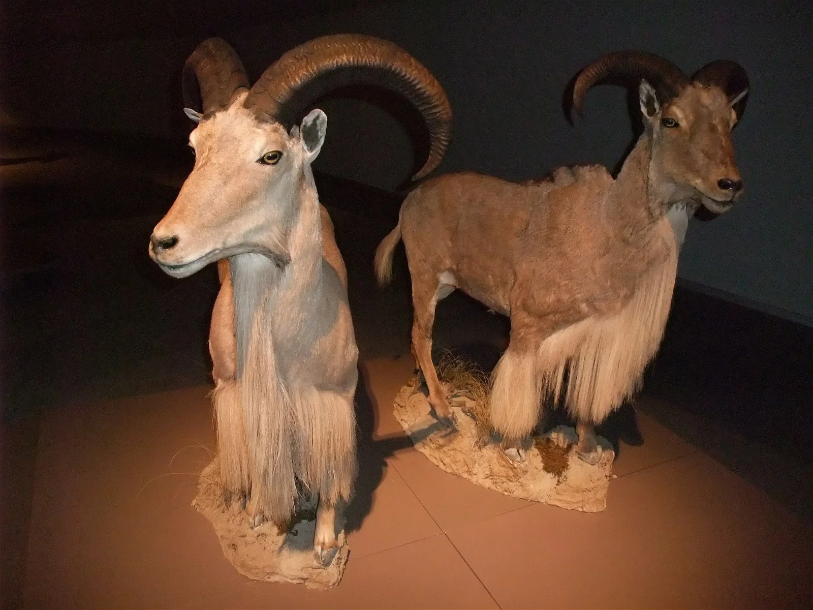 Science Park Granada