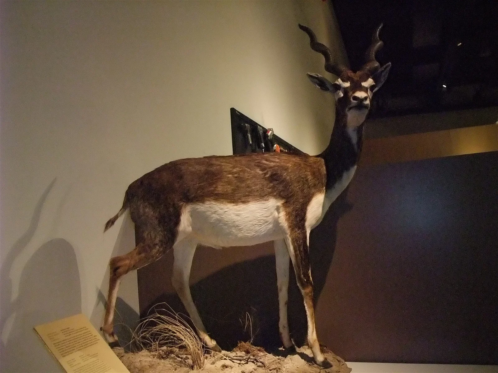 Science Park Granada