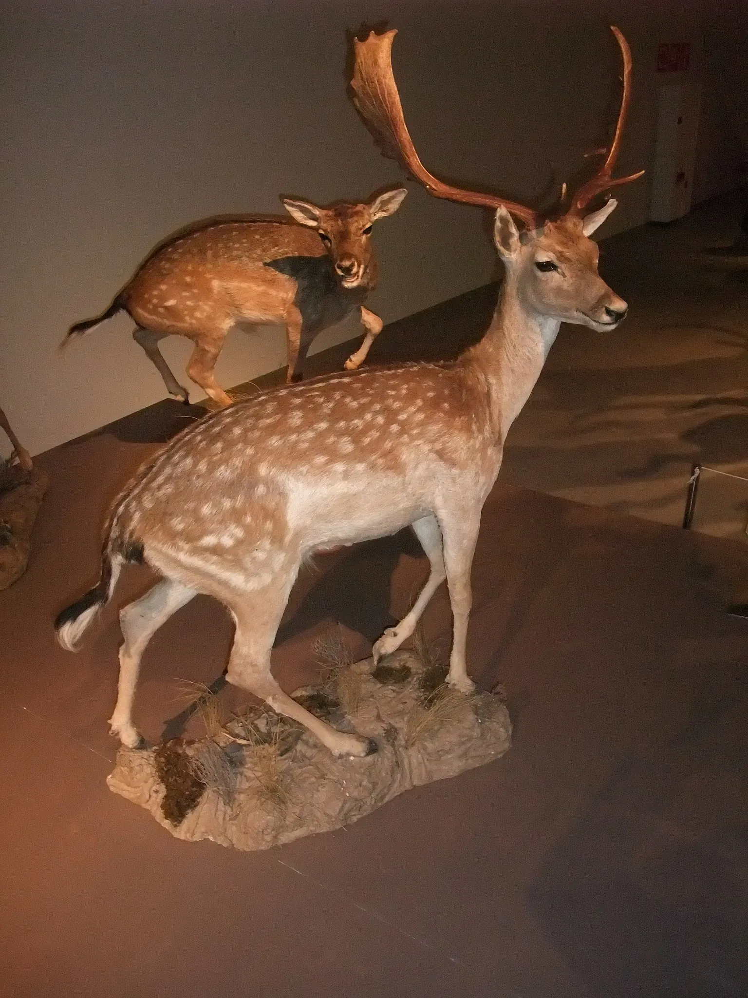 Parc des Sciences (Grenade)